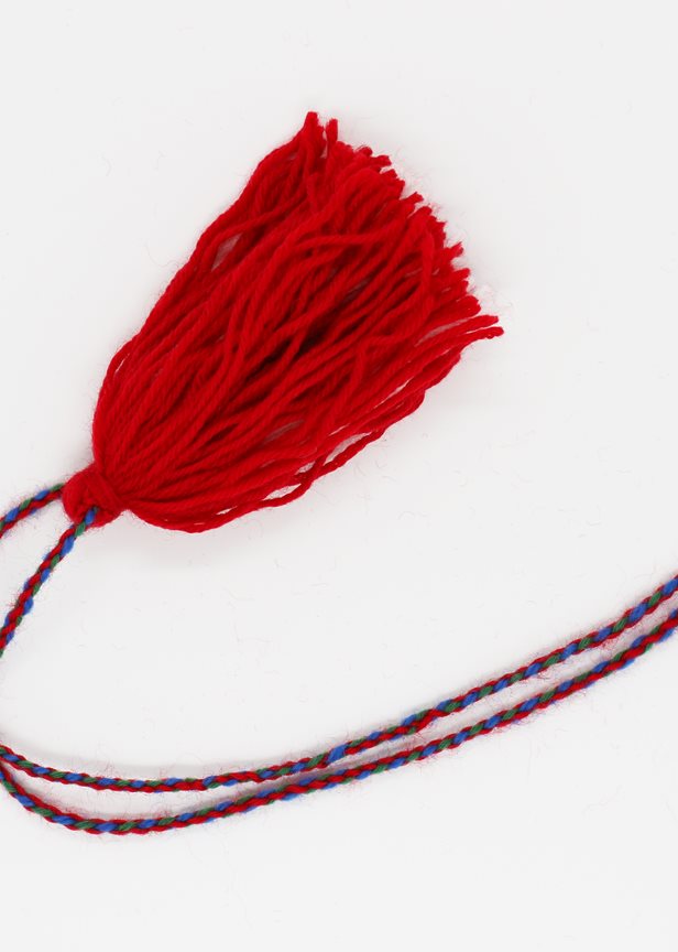 Markering av samenes nasjonaldag