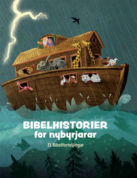 Bibelhistorier for nybyrjarar (nyn)
