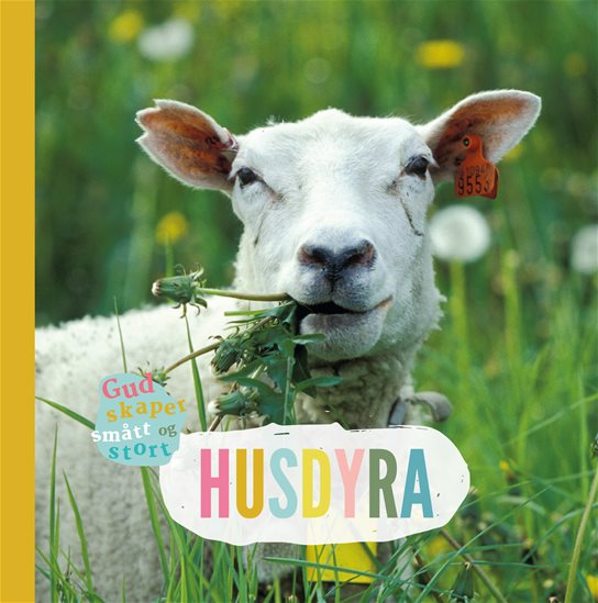 Husdyra
